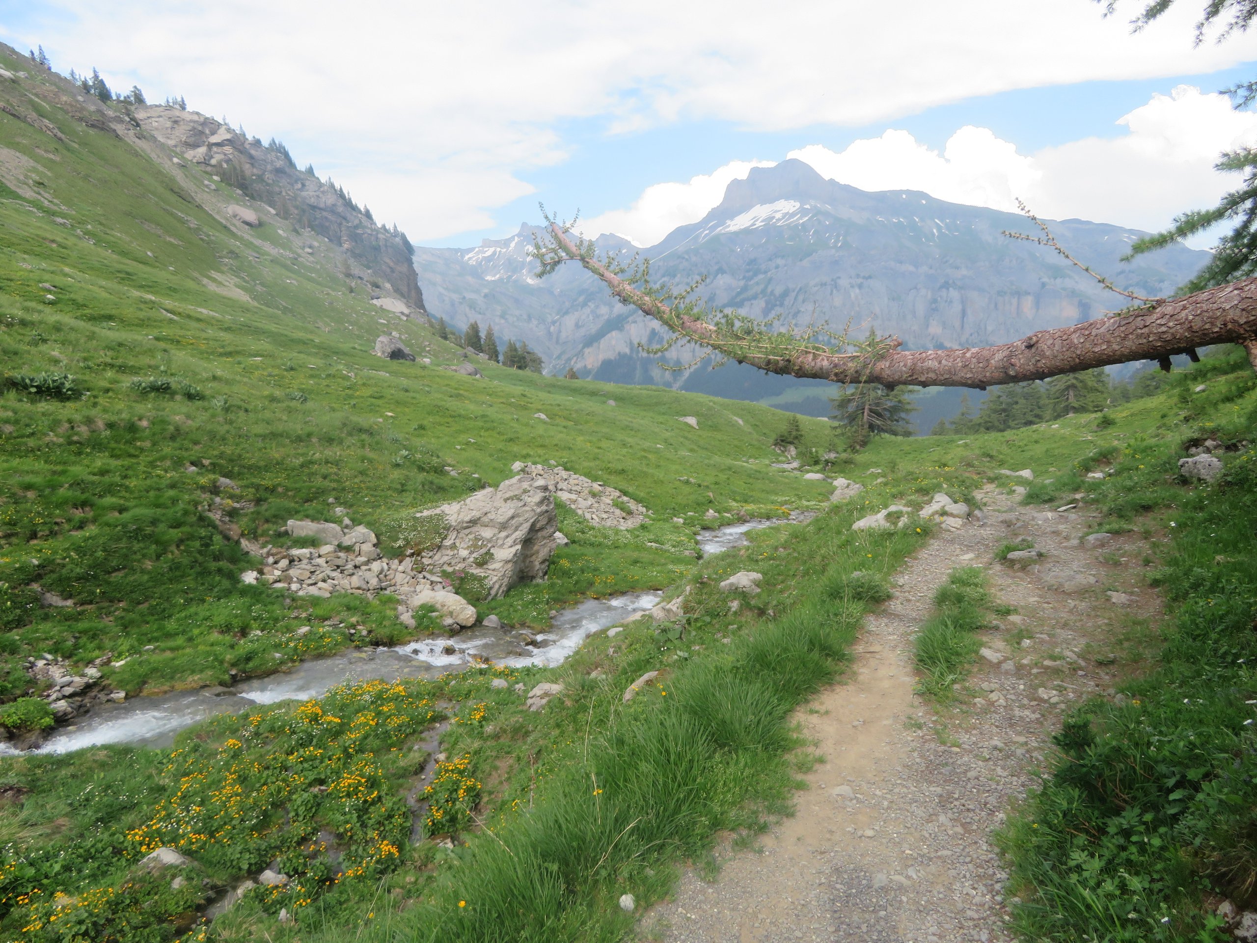 Geführte Wanderungen & Treks